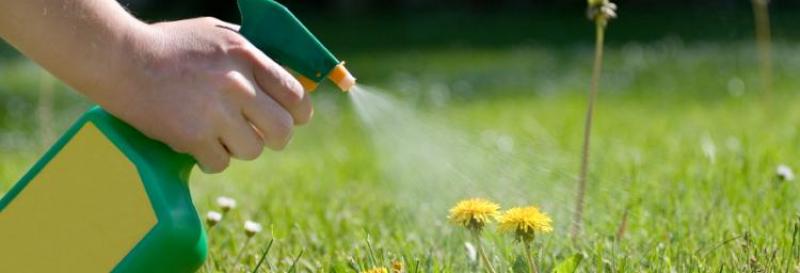 Glyphosate Market