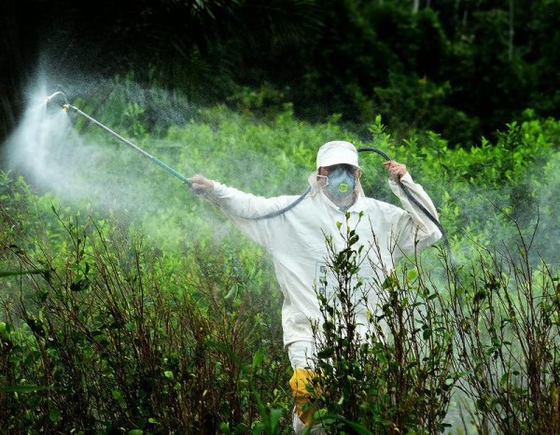 Glyphosate