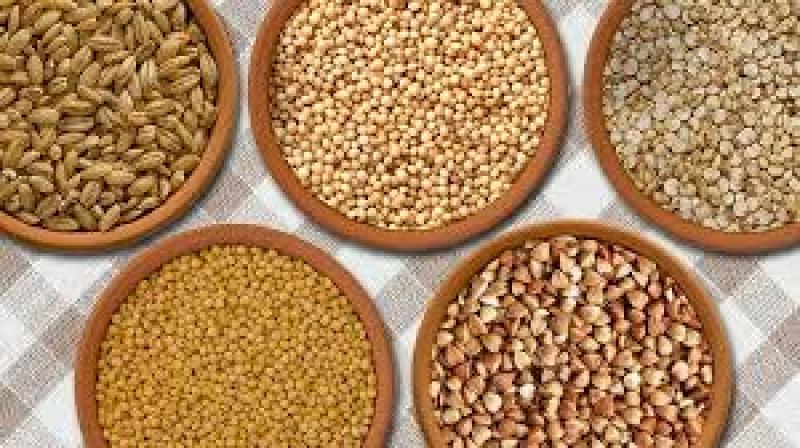 Grain Analysis Market