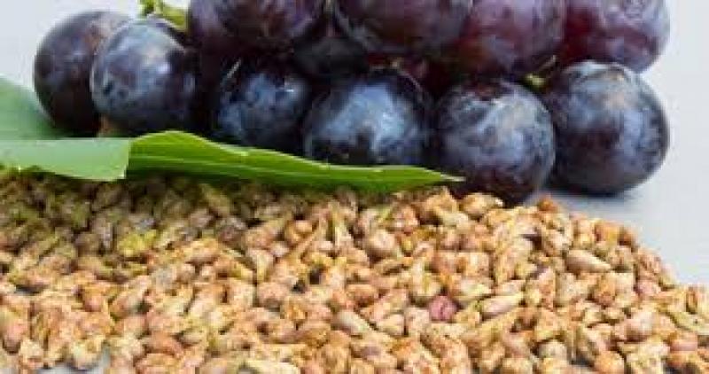 Grape Seed Extract
