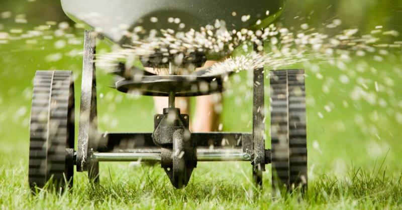 Grass Seed Spreader 