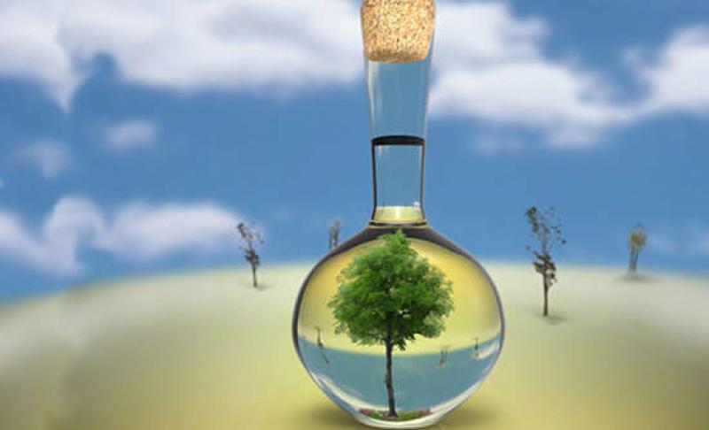 Green & Bio-based Solvents