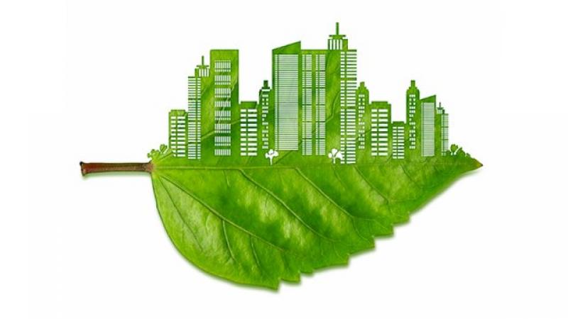 Green Building Materials