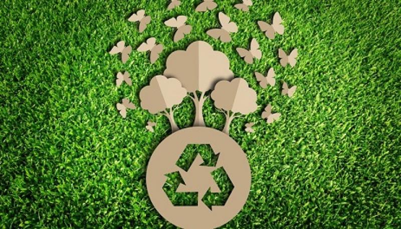 Green Packaging 