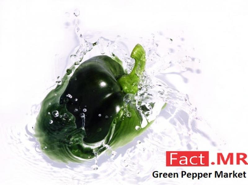 Green Pepper Market- Fact.MR