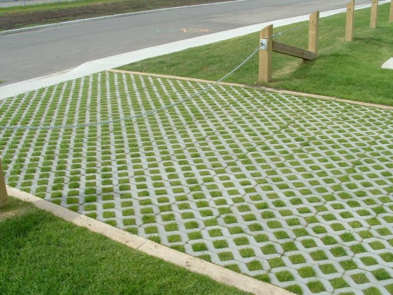 Green porous concrete