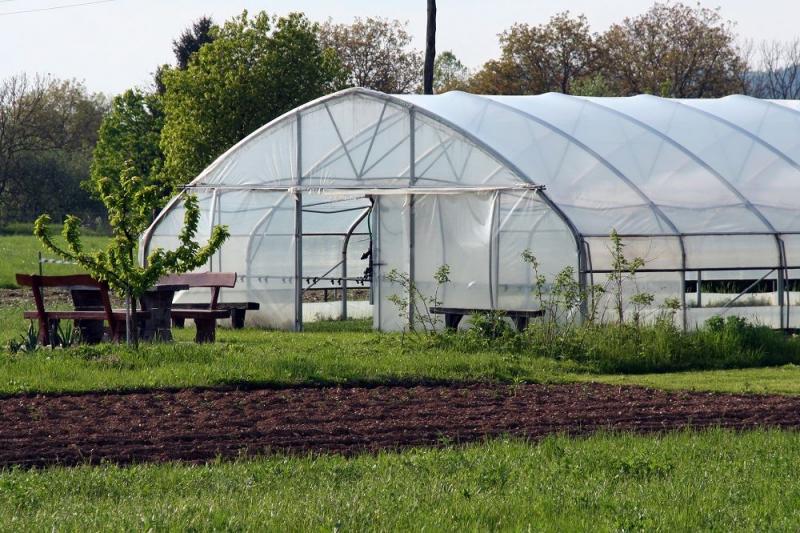 Greenhouse Horticulture Market Growth (Status and Outlook) 2019-2024 Greenhouse Horticulture, Greenhouse Horticulture Market, Greenhouse Horticulture Market Growth