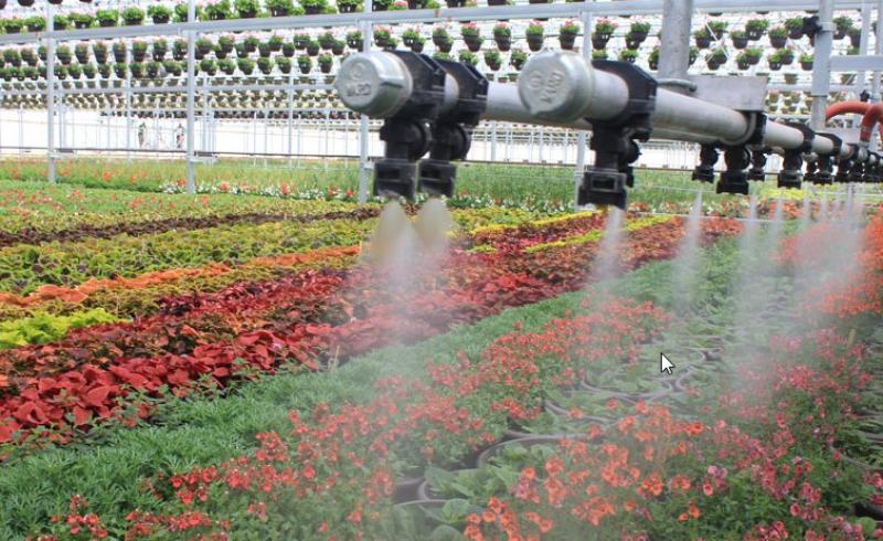 Greenhouse Irrigation Systems