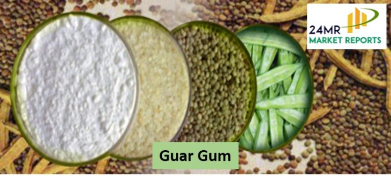 Global and United States Guar Gum In-Depth Research Report 2017-2022 Guar Gum