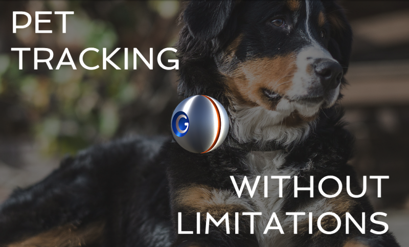 The Guardian Pet Tracker 