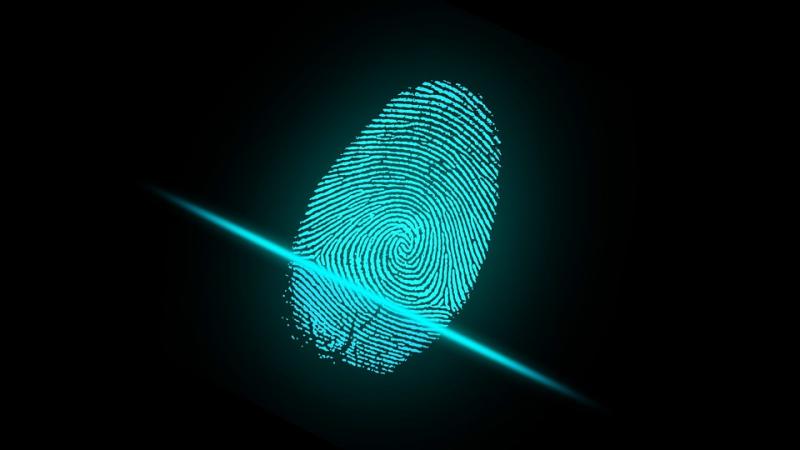 Healthcare Biometrics Industry