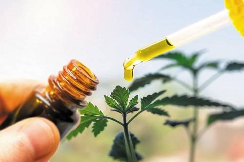 Elixinol hemp oil