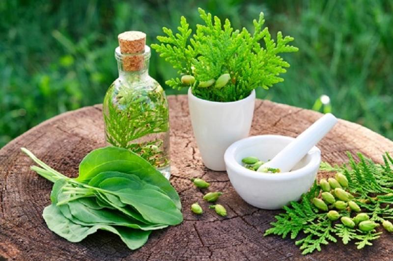 Herbal Medicine