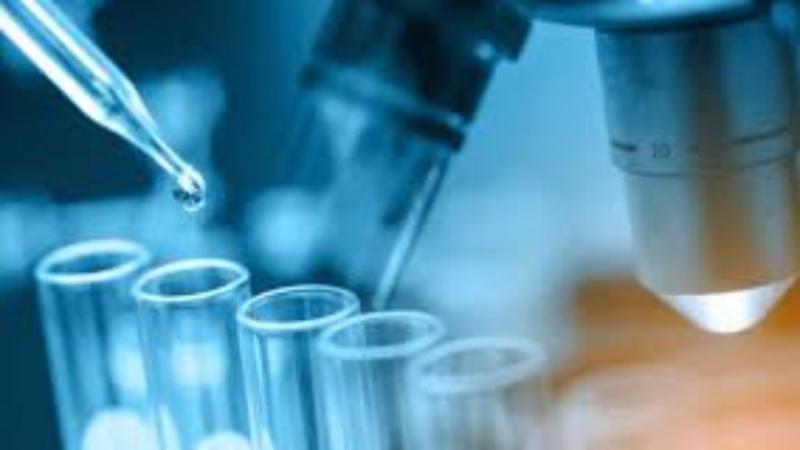 High Performance Polyamides Market