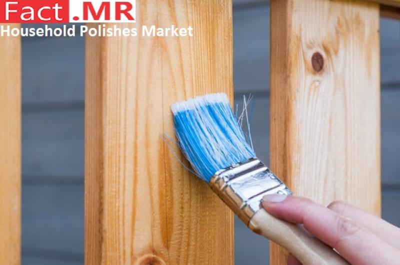 Household Polishes Market - Fact.MR
