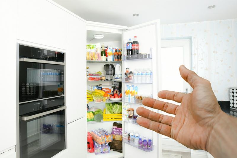 Household Refrigerator And Home Freezer Market Size, Share, Growth And Trends