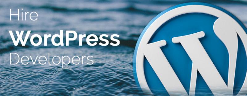 Wordpress Developer l Wordprax