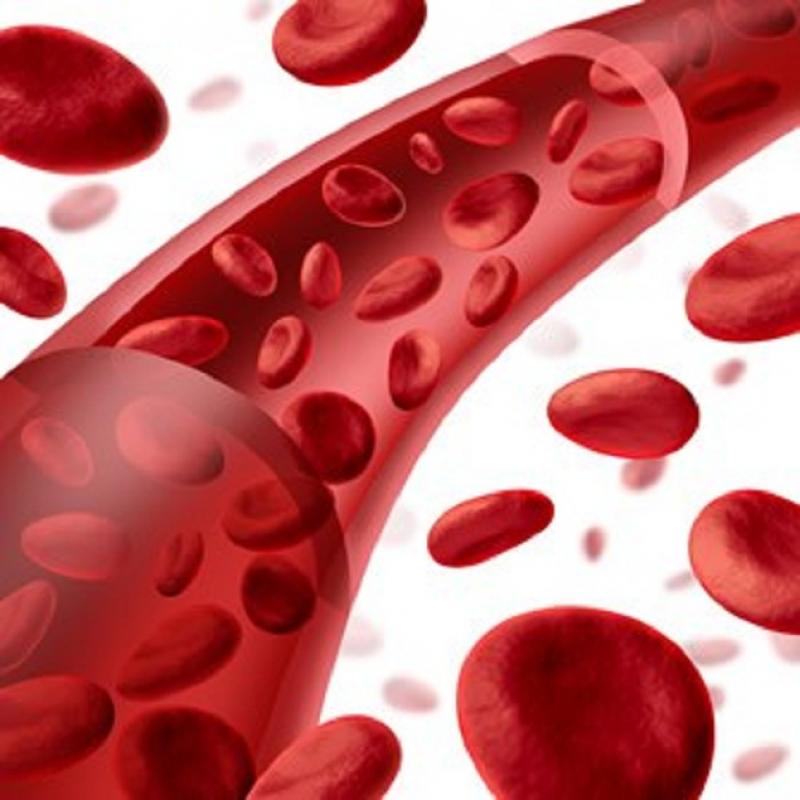 Human Coagulation Factor VIII Consumption Market Report 2018-2023 Human Coagulation Factor VIII Consumption