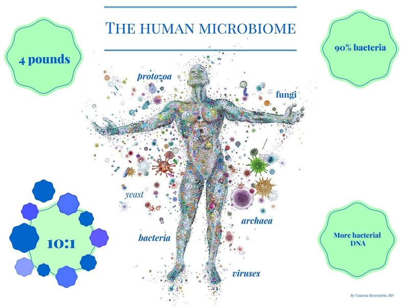 Human Microbiome