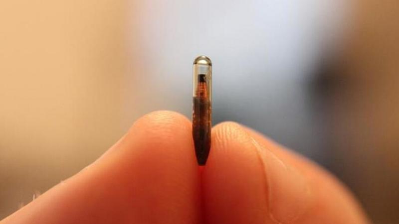 Human Microchipping Market