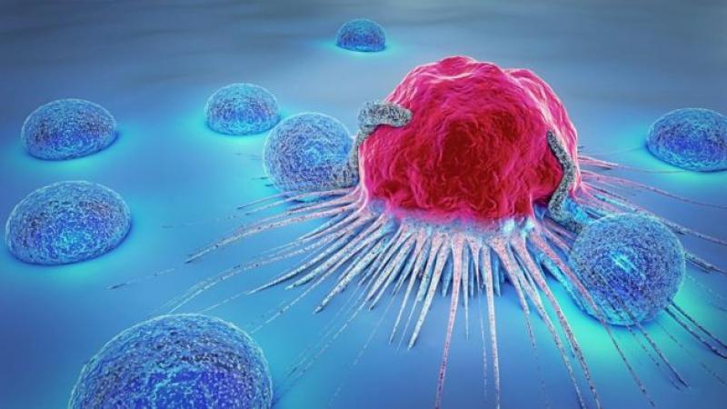 Human-Microbiome-Therapeutics-&-Diagnostics-Market-Analysis