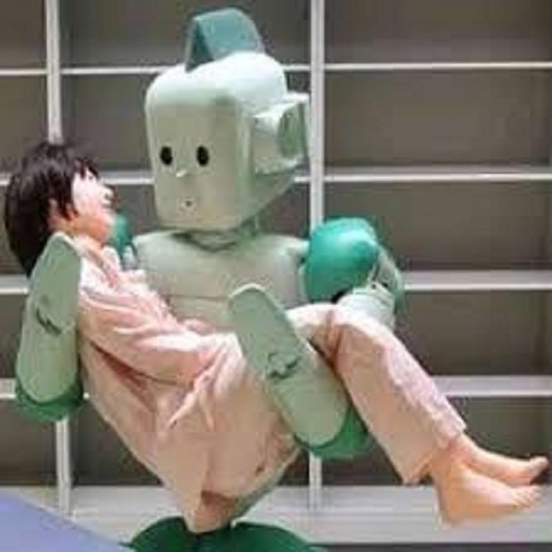 Humanoid Healthcare Assistive Robot