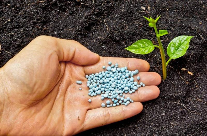 Humic Acid Market