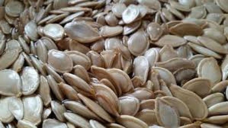 Hybrid Seeds