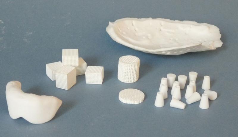 Hydroxyapatite Market Hydroxyapatite Market