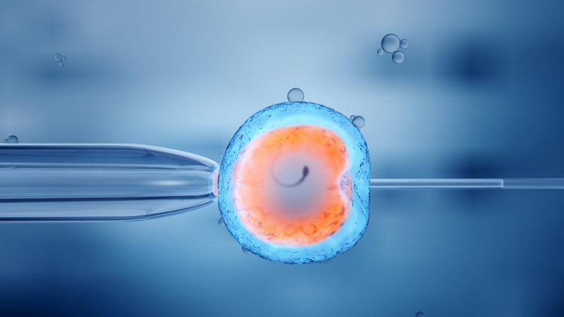 IVF Services Industry Market