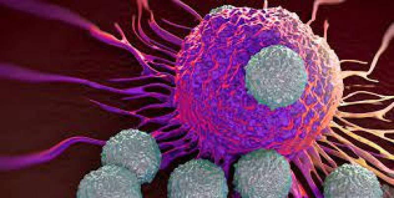 Immuno-Oncology Assays Market