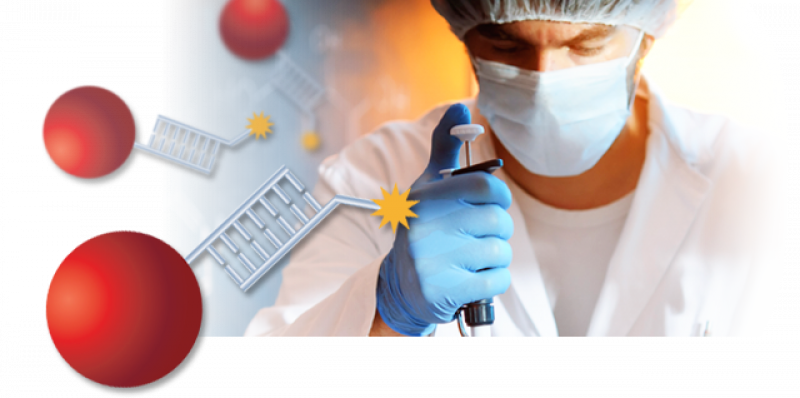 Immunoassay Market Size