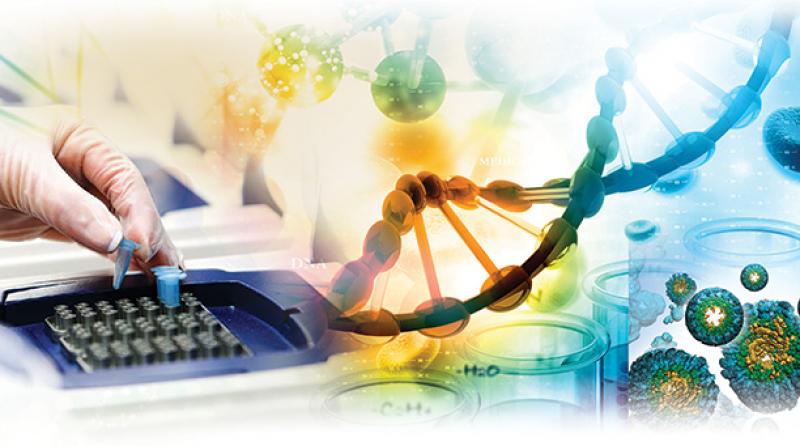 Immunodiagnostic Analyzers and Reagents Market