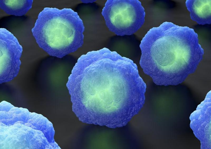 Immunohistochemistry