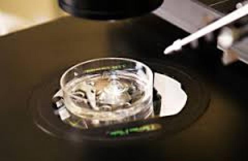 In Vitro Fertilization (IVF) Market