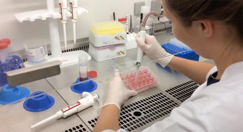 In Vitro Toxicity Market