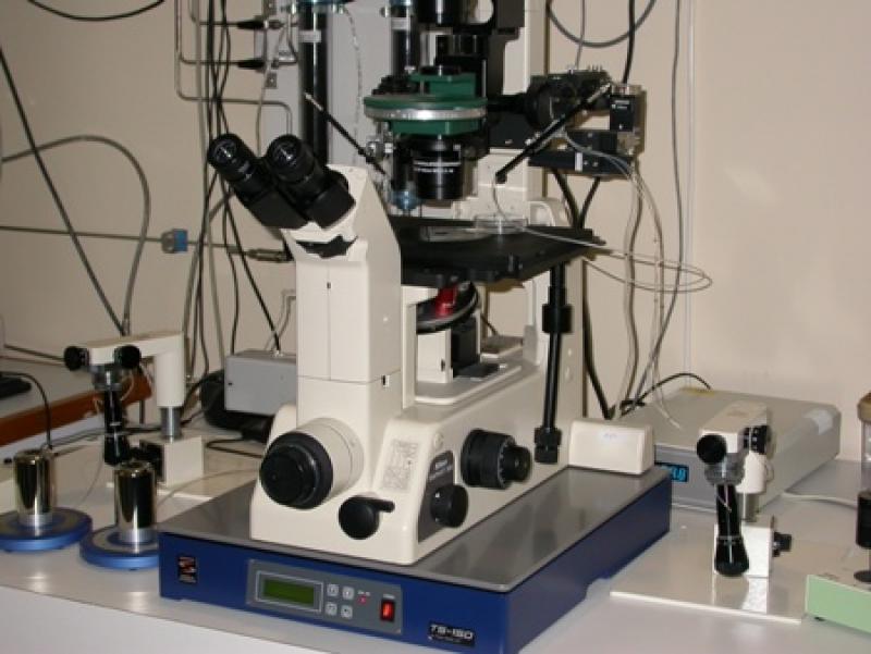 In-vitro Fertilization (IVF) Devices
