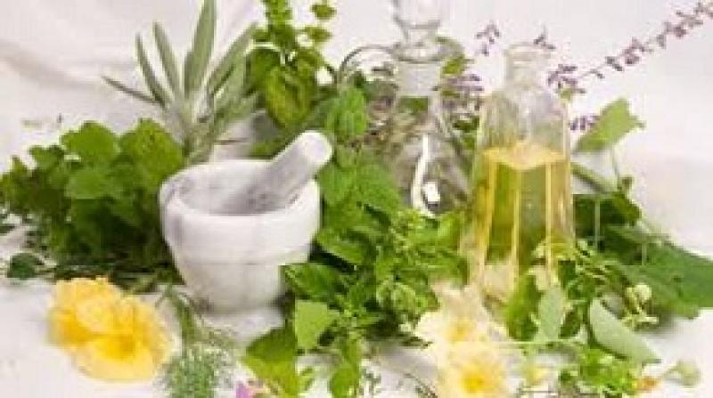 India Alternative Madicine Market