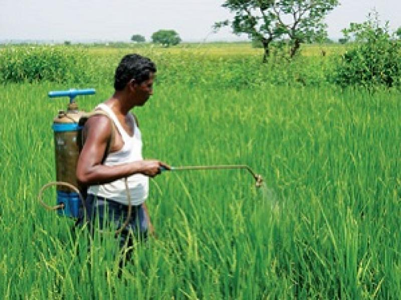 India Biopesticides Market