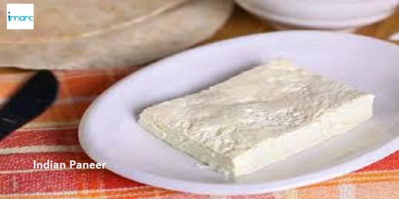 Indian Paneer Market