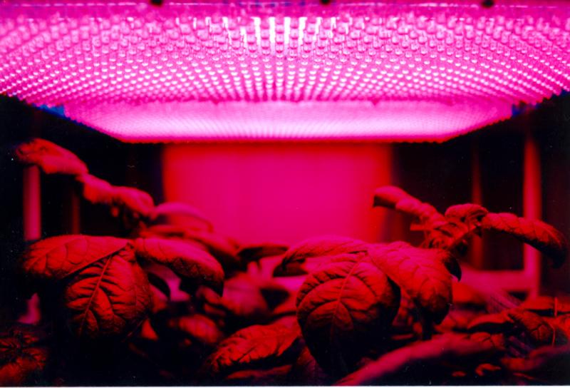 indoor farming technology market