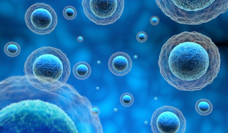 Induced Pluripotent Stem Cells Market