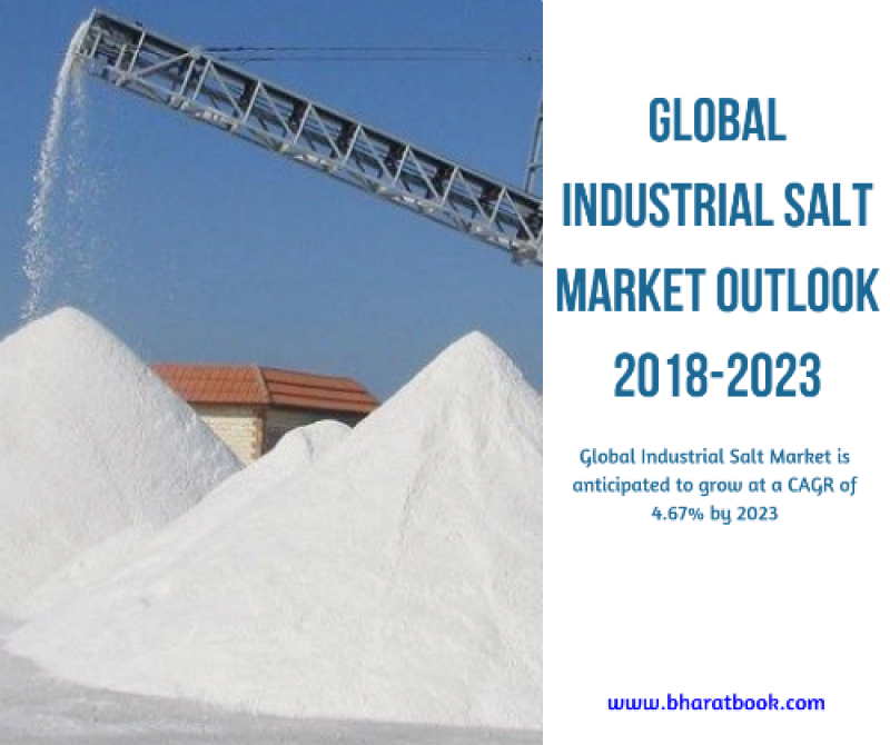 Industrial Salt Market