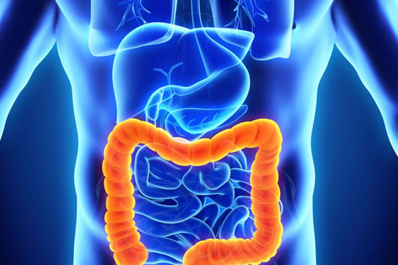 Inflammatory Bowel Disease Market