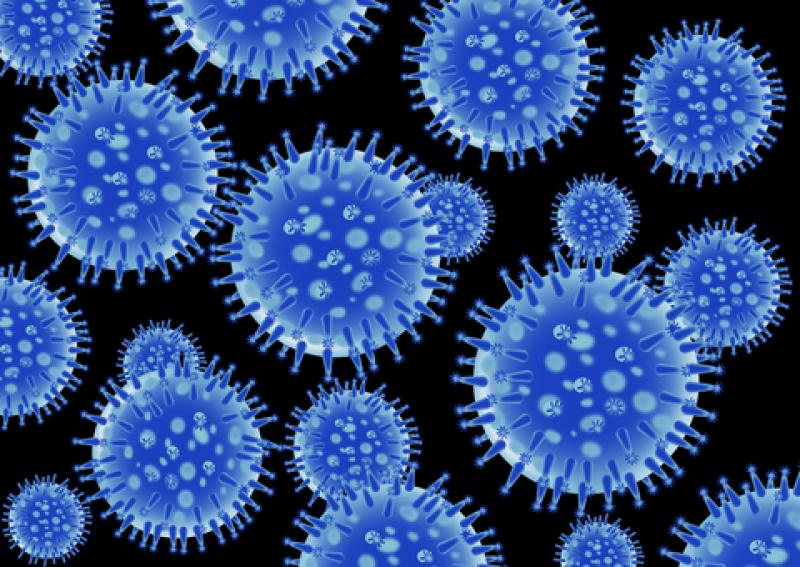 Influenza A Virus