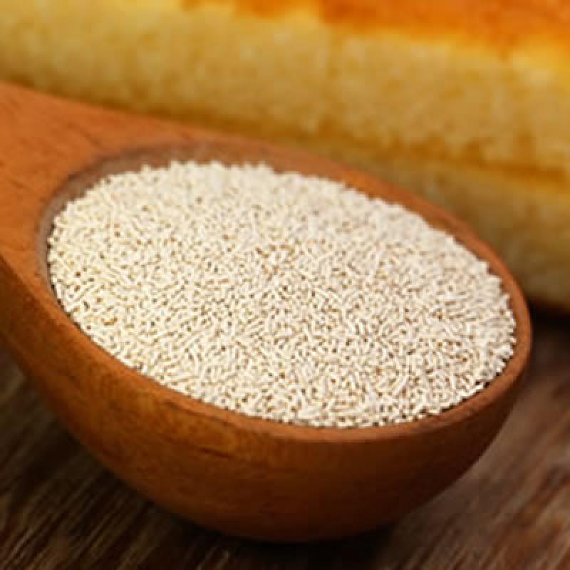 Instant Active Dry Yeast 