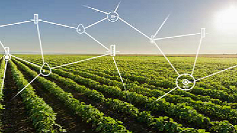 Intelligent Agriculture Market