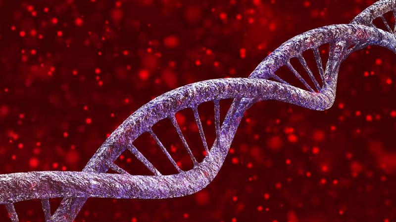 Isothermal Nucleic Acid Amplification Technology (INAAT) Market