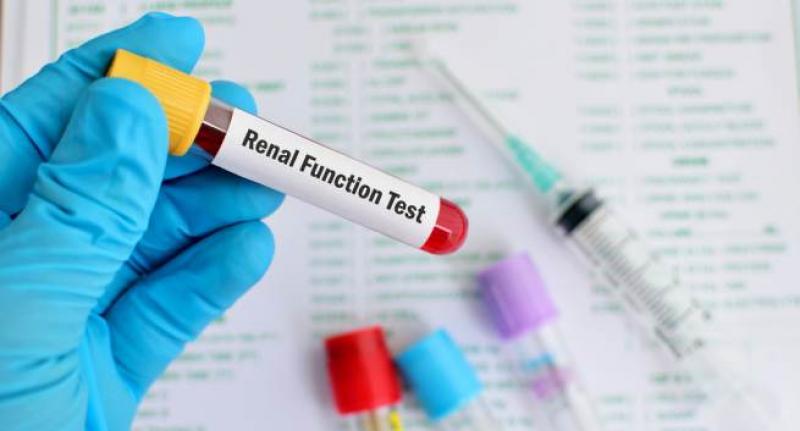 Kidney Function Test Market