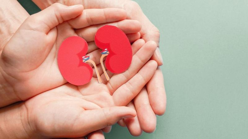 Kidney Transplant Kidney Transplant